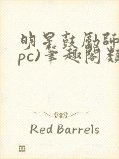 明星鼓励师(npc)笔趣阁类似