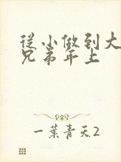 从小做到大骨科兄弟年上