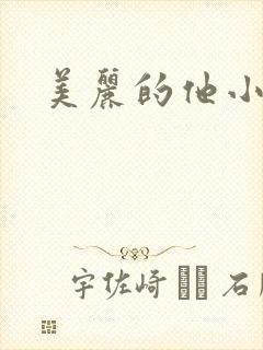 美丽的他小说