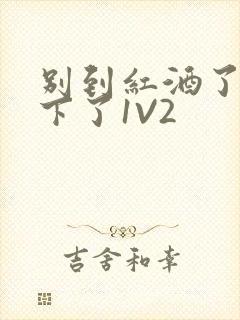 别到红酒了装不下了1V2