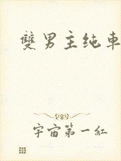 双男主纯车骨科