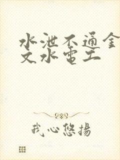 水泄不通金银原文水电工