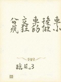 公交车后车座的疯狂的做小