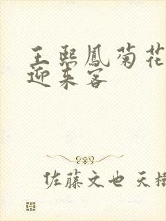 王熙凤菊花门初迎来客