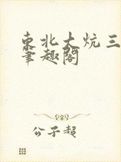 东北大炕三部曲笔趣阁