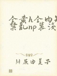 全黄h全肉短篇禁乱np慕浅浅