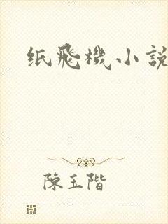 纸飞机小说
