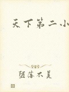 天下第二小说