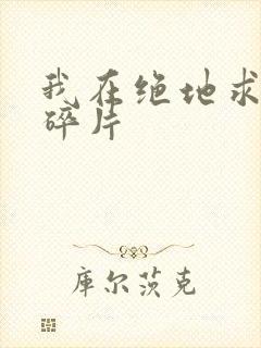 我在绝地求生捡碎片