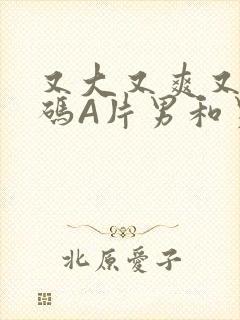 又大又爽又黄无码A片男和男