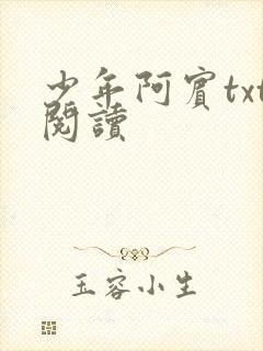 少年阿宾txt阅读