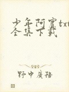 少年阿宾txt全集下载