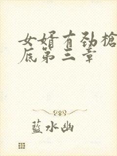 女婿有劲枪枪到底第三章