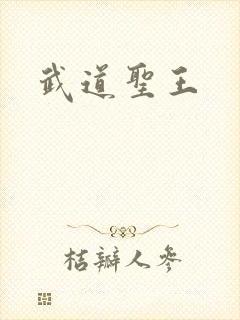武道圣王
