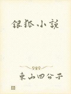 银狐小说