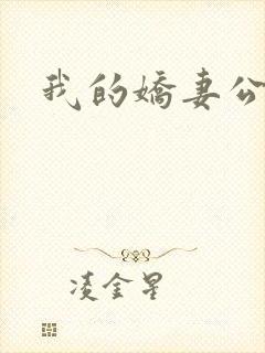 我的娇妻公务员