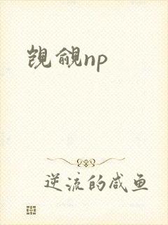 觊觎np