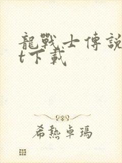 龙战士传说txt下载