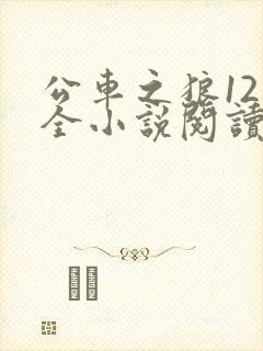公车之狼12集全小说阅读
