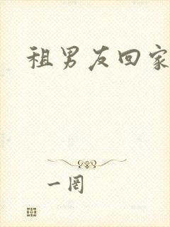 租男友回家过年