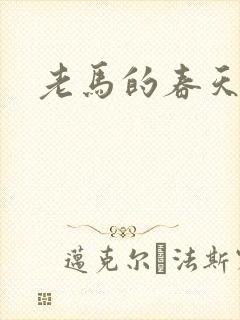 老马的春天敏静
