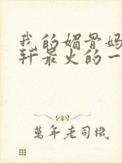 我的媚骨妈妈林轩最火的一句