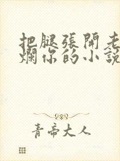 把腿张开老子臊烂你的小说