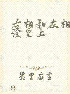 右相和左相一起淦皇上
