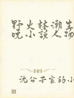 野火林潮生林晚晚小说人物野火
