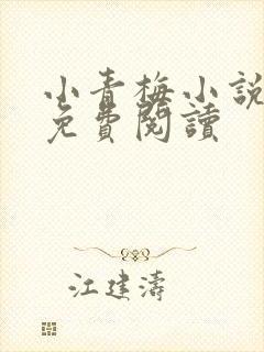 小青梅小说全文免费阅读