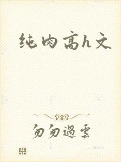 纯肉高h文