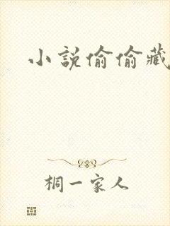 小说偷偷藏不住