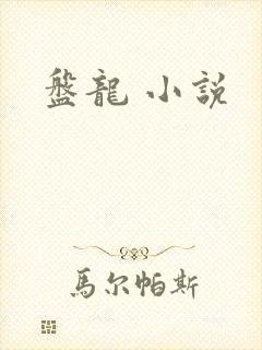 盘龙 小说