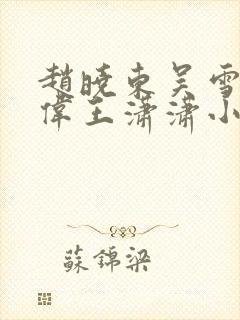 赵晓东吴雪晴郑伟王潇潇小说