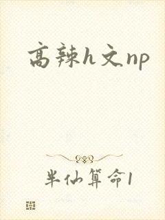 高辣h文np
