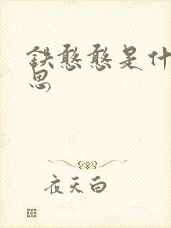 铁憨憨是什么意思