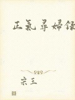 正气寻妇录