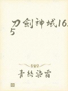 刀剑神域16.5