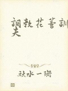 调教花蒂训诫从夫