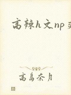 高辣h文np爽