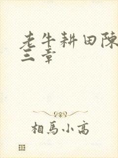 老牛耕田陈雪第三章