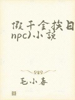 假千金挨日记(npc)小说