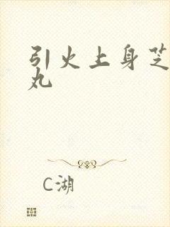 引火上身芝麻糖丸