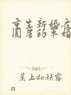 重生新婚夜正在圆房的军婚