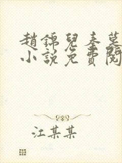 赵锦儿秦慕修的小说免费阅读全文