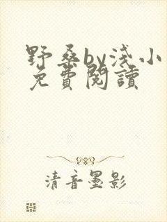 野桑by浅小说免费阅读