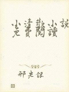 小清欢小说全文免费阅读