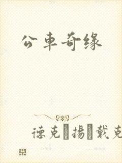 公车奇缘