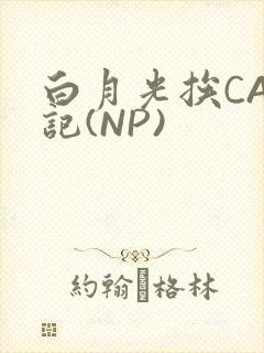 白月光挨CAO记(NP)