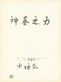 神眷之力